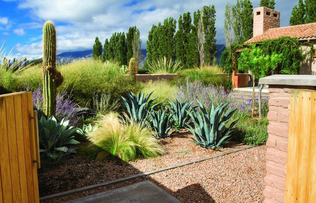 Adobe Charm Villa Cafayate Bagian luar foto